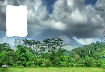 Efecto de fotos de la categoría Verano № 114456