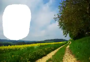 Efecto de fotos de la categoría Verano № 114551