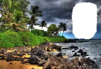 Efecto de fotos de la categoría Verano № 114573