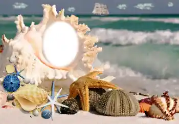 Efecto de fotos de la categoría Verano № 115806