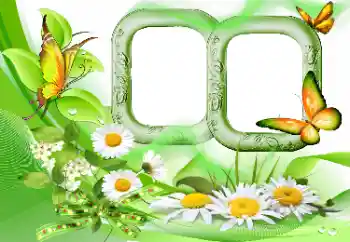 Efecto de fotos de la categoría Verano № 115844