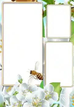 Efecto de fotos de la categoría Verano № 116125