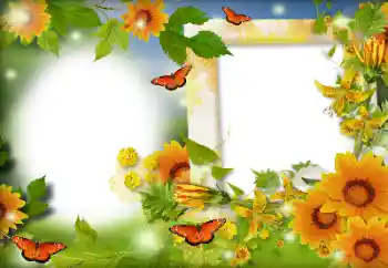 Efecto de fotos de la categoría Verano № 116126