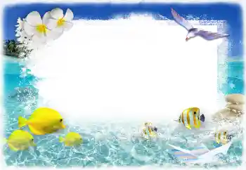 Efecto de fotos de la categoría Verano № 117731