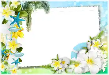 Efecto de fotos de la categoría Verano № 117734