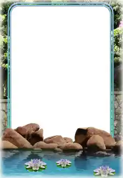 Efecto de fotos de la categoría Verano № 118898