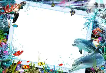 Efecto de fotos de la categoría Verano № 121106