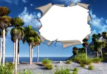 Efecto de fotos de la categoría Verano № 121107