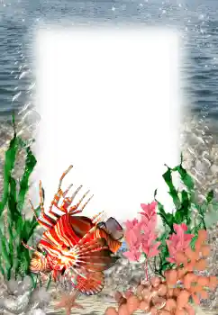 Efecto de fotos de la categoría Verano № 121109