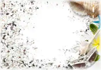 Efecto de fotos de la categoría Verano № 122178