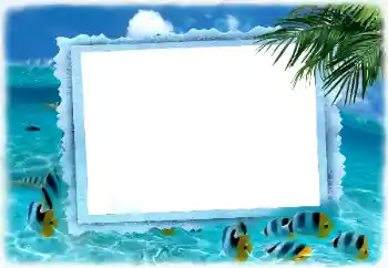 Efecto de fotos de la categoría Verano № 122185