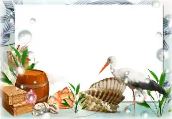 Efecto de fotos de la categoría Verano № 122189