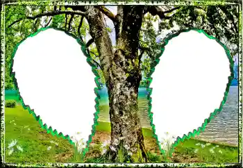 Efecto de fotos de la categoría Verano № 123182