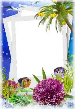 Efecto de fotos de la categoría Verano № 124280