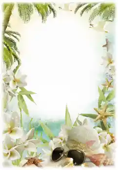 Efecto de fotos de la categoría Verano № 124281