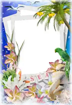 Efecto de fotos de la categoría Verano № 124282