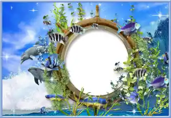 Efecto de fotos de la categoría Verano № 125908