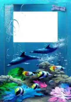 Efecto de fotos de la categoría Verano № 127063