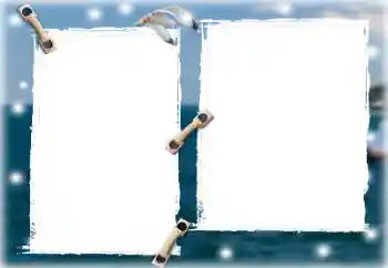 Efecto de fotos de la categoría Verano № 130598