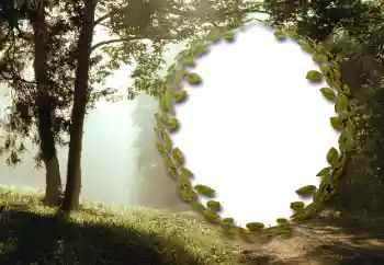 Efecto de fotos de la categoría Verano № 130985