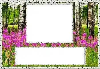 Efecto de fotos de la categoría Verano № 131011