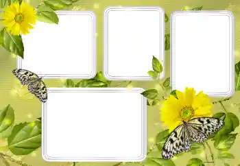 Efecto de fotos de la categoría Verano № 131450