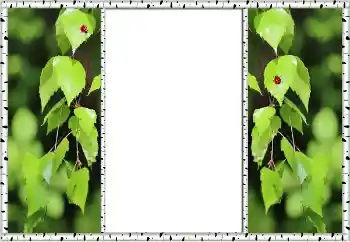 Efecto de fotos de la categoría Verano № 132875