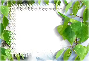 Efecto de fotos de la categoría Verano № 132911