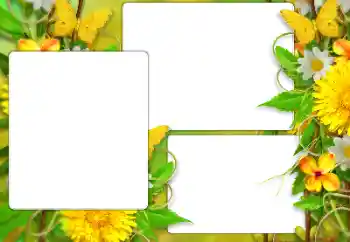 Efecto de fotos de la categoría Verano № 138523