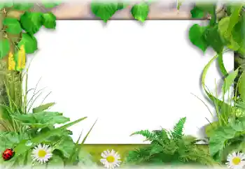 Efecto de fotos de la categoría Verano № 138647