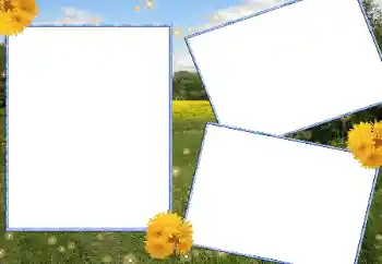 Efecto de fotos de la categoría Verano № 13915