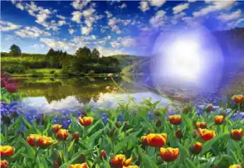 Efecto de fotos de la categoría Verano № 13960