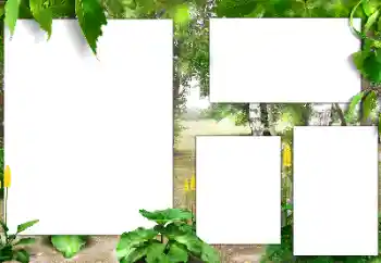 Efecto de fotos de la categoría Verano № 141163