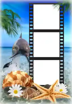 Efecto de fotos de la categoría Verano № 142225