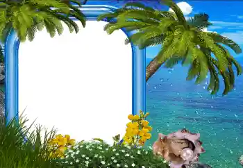 Efecto de fotos de la categoría Verano № 142293