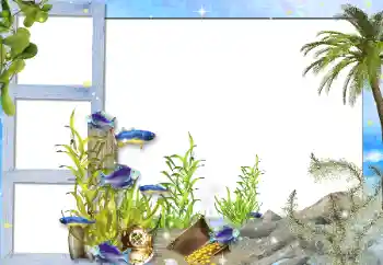 Efecto de fotos de la categoría Verano № 142298