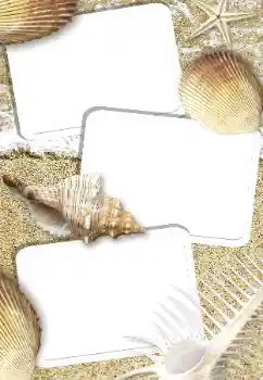 Efecto de fotos de la categoría Verano № 142299