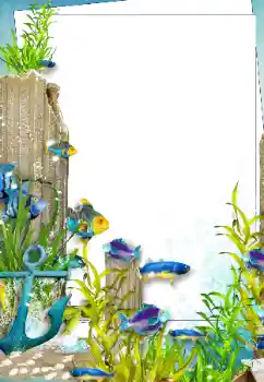 Efecto de fotos de la categoría Verano № 142303