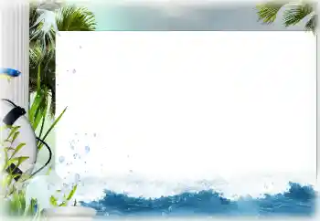 Efecto de fotos de la categoría Verano № 142304