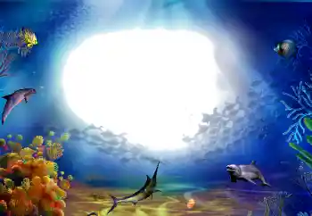 Efecto de fotos de la categoría Verano № 142470