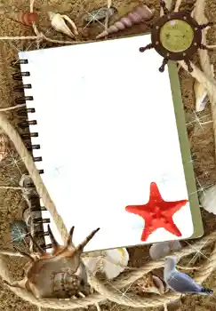 Efecto de fotos de la categoría Verano № 1466