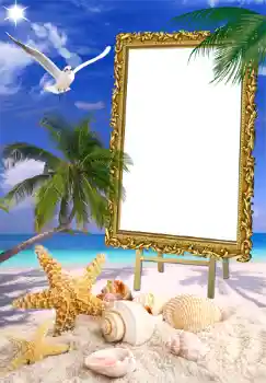 Efecto de fotos de la categoría Verano № 1471