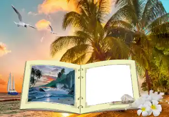 Efecto de fotos de la categoría Verano № 147911