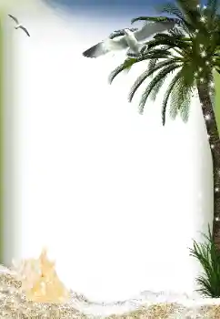 Efecto de fotos de la categoría Verano № 149037