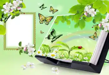 Efecto de fotos de la categoría Verano № 150647