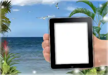 Efecto de fotos de la categoría Verano № 151651