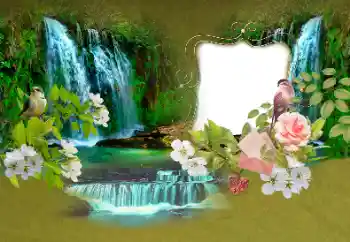 Efecto de fotos de la categoría Verano № 153156