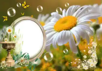 Efecto de fotos de la categoría Verano № 153157