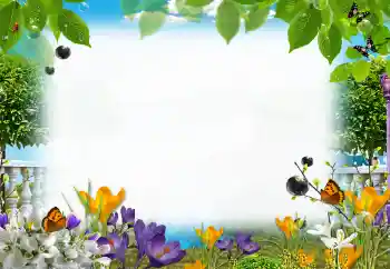 Efecto de fotos de la categoría Verano № 153205