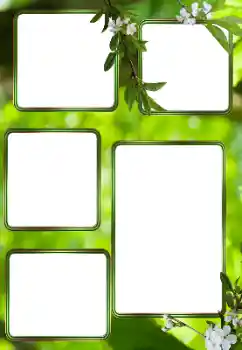 Efecto de fotos de la categoría Verano № 153242